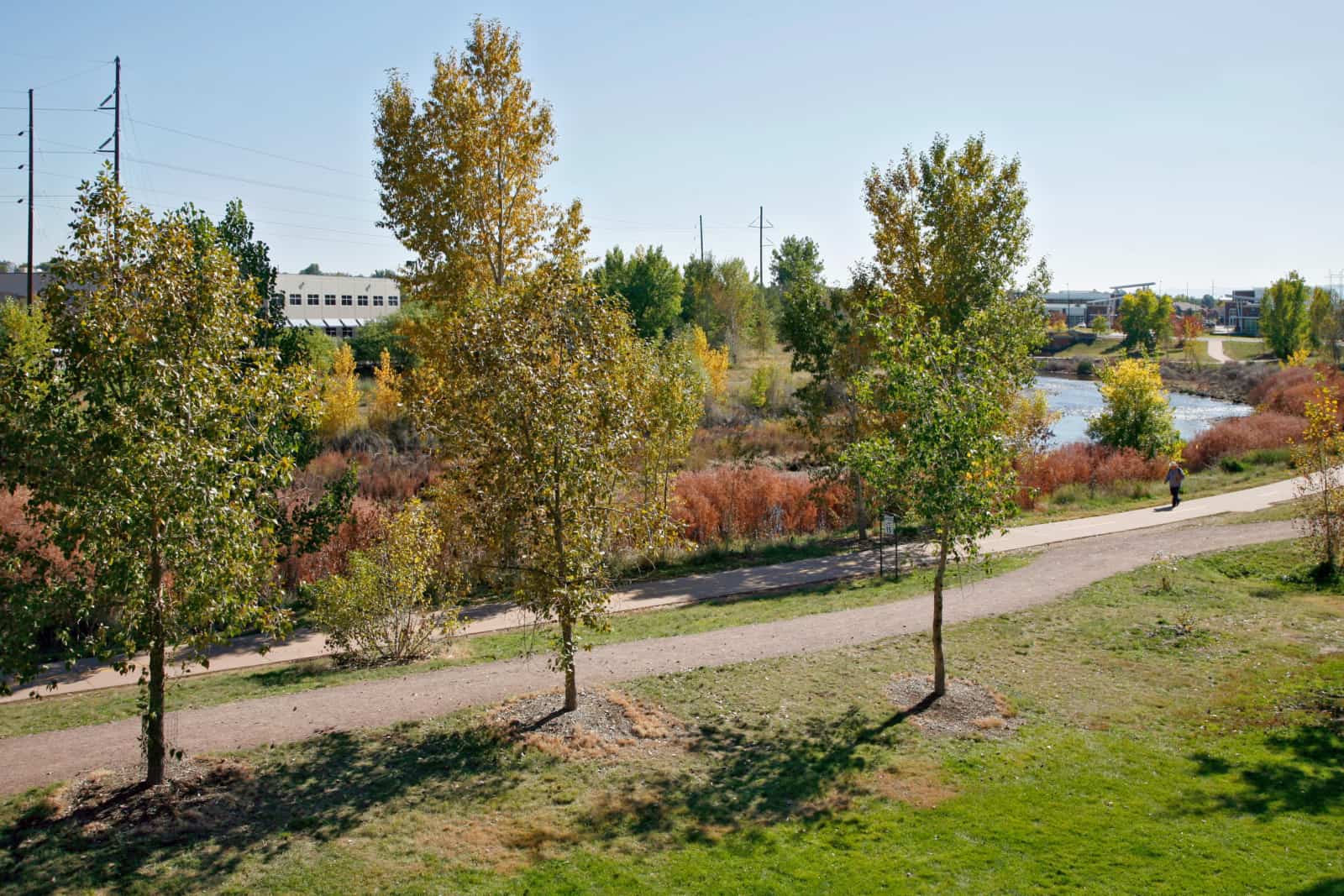 View of the river and walking path surrounded by trees and other vegetation.