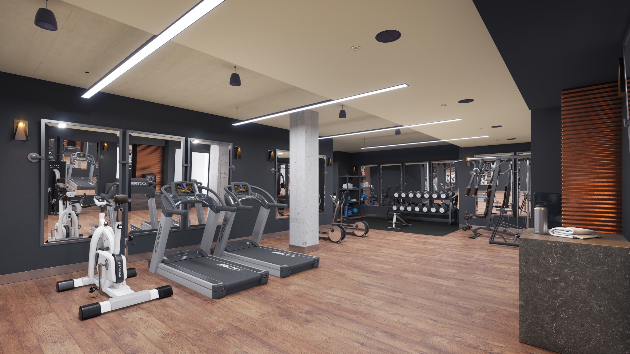 Interior of modern fitness room with exercise machines and weights