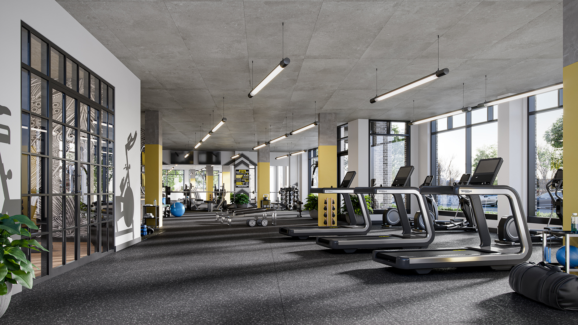 Interior of spacious gym with exercise machines
